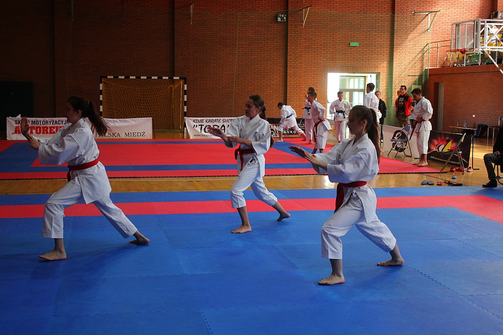 Świetny występ legnickiej Tory na Silesia Cup 2015