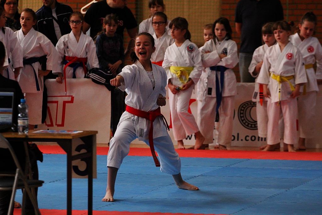Świetny występ legnickiej Tory na Silesia Cup 2015