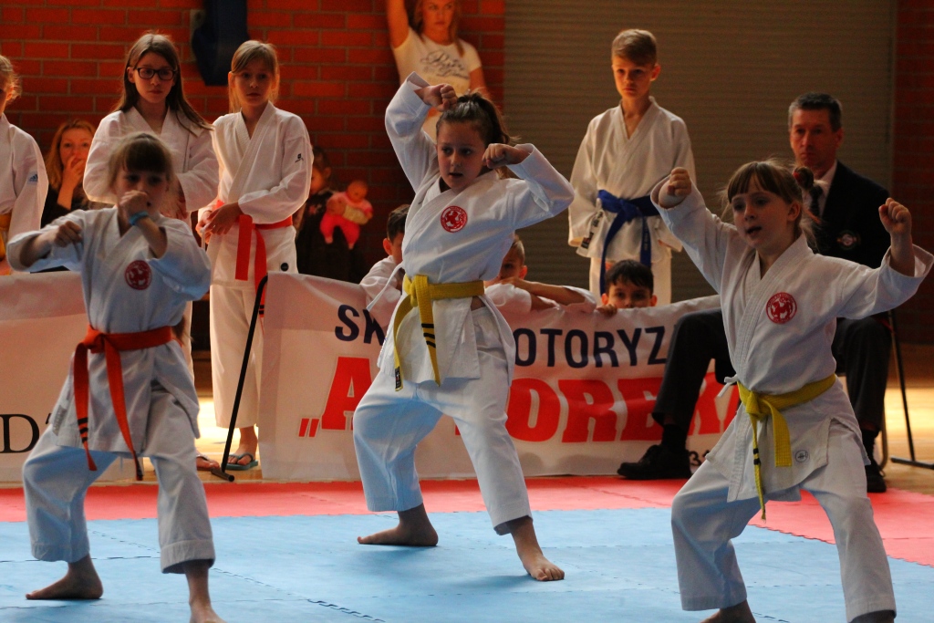 Świetny występ legnickiej Tory na Silesia Cup 2015