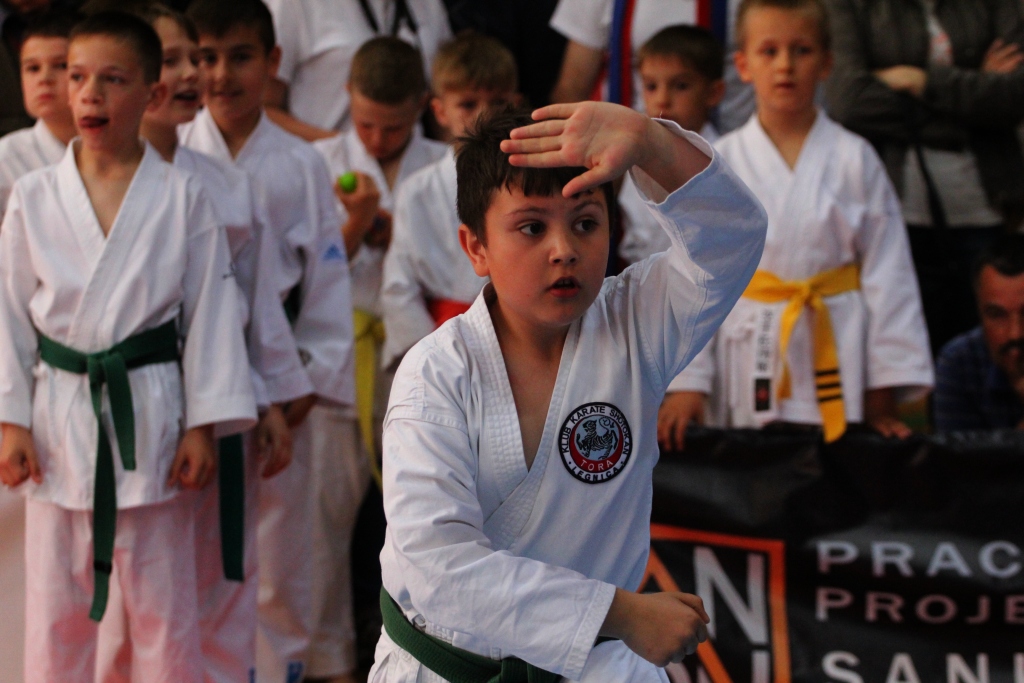 Świetny występ legnickiej Tory na Silesia Cup 2015