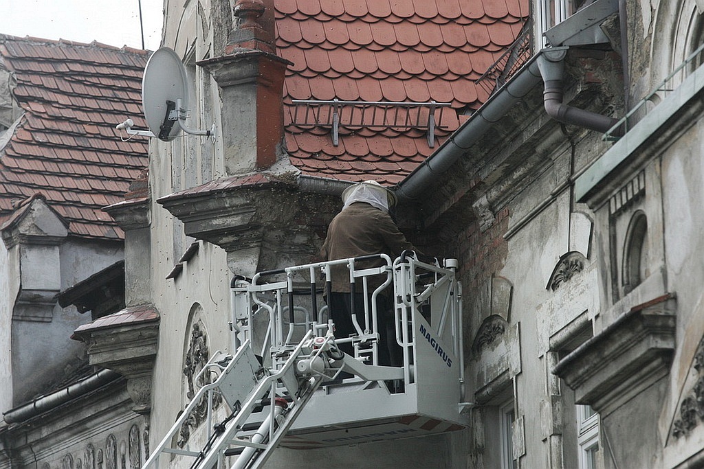 Rój pszczół na kamienicy przy Piastowskiej