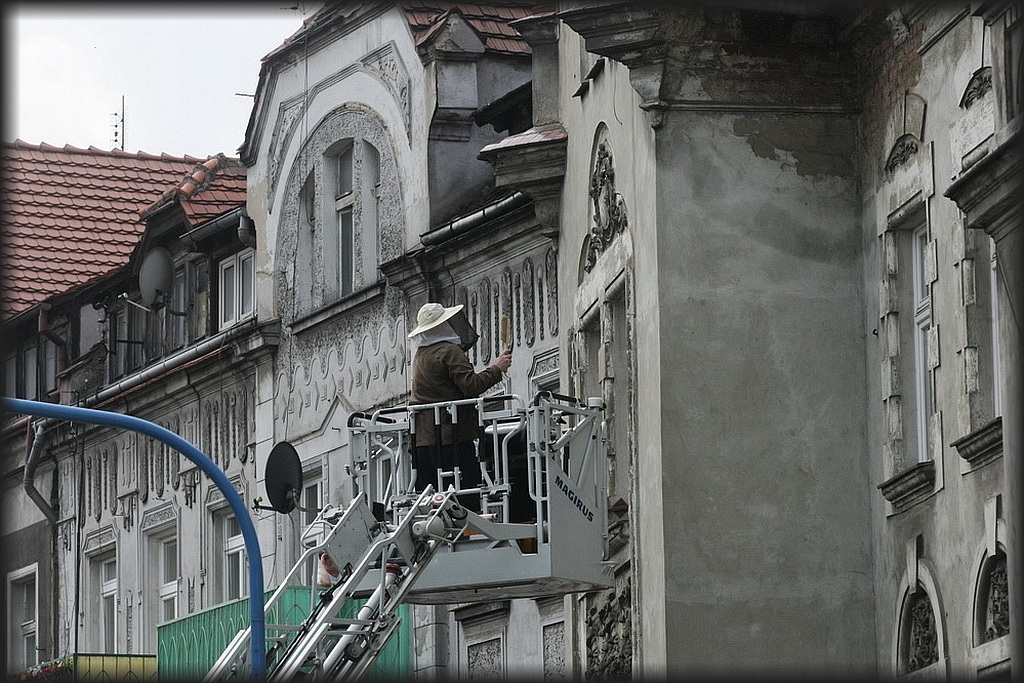 Rój pszczół na kamienicy przy Piastowskiej