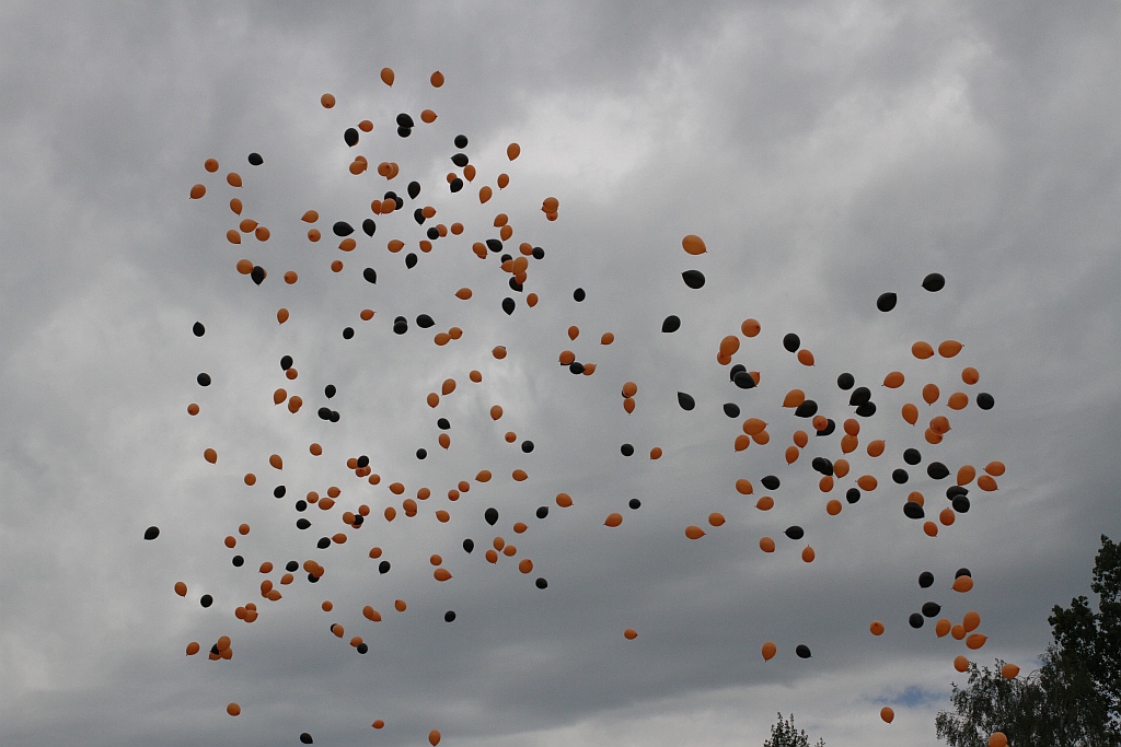 Dzień Hutnika 2015 - festyn rodzinny