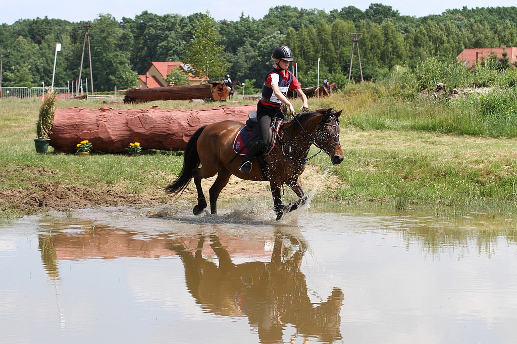 Krajowe Zawody WKKW-Mistrzostwa Dolnego Śląska