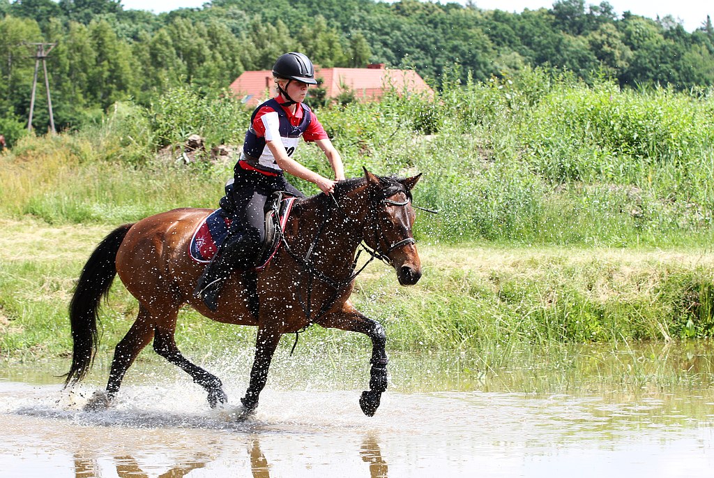 Krajowe Zawody WKKW-Mistrzostwa Dolnego Śląska