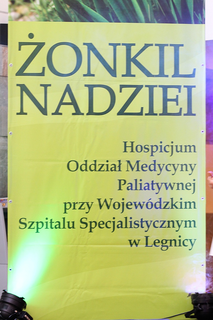 Dla ciebie żonkil, dla chorych nadzieja