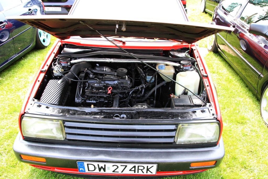 50 samochodów wzięło udział w VAG & Grill vol. 1 Jezioro Kunice