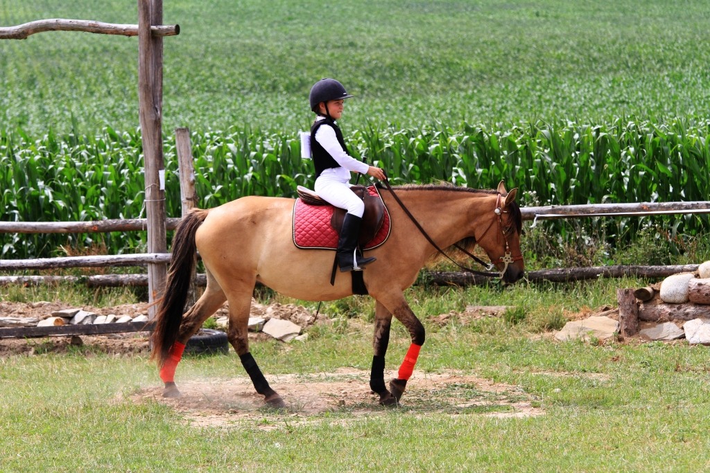 II Otwarte Mistrzostwa Dolnego Śląska w Extreme Trailu