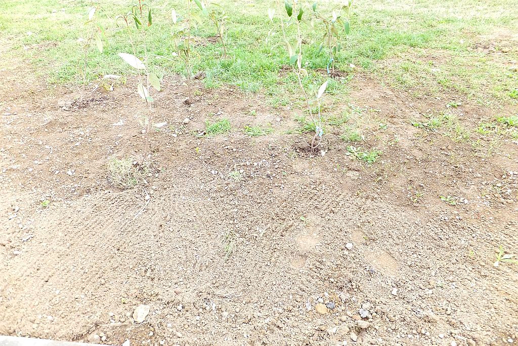Finiszuje druga edycja LBO. Rozpoczęła się realizacja inwestycji