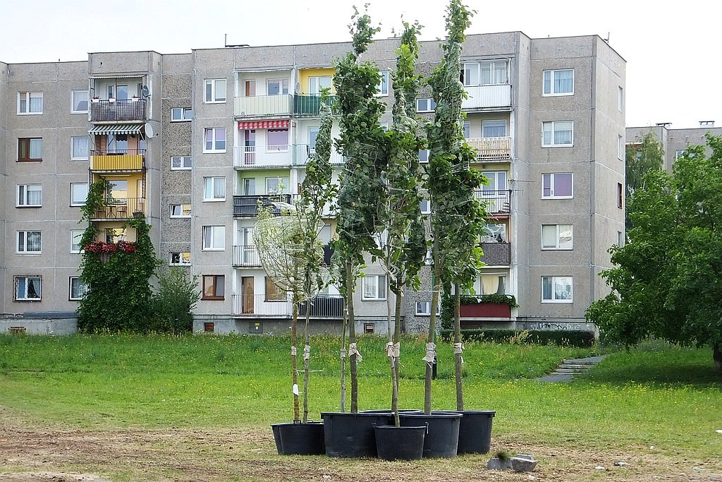 Finiszuje druga edycja LBO. Rozpoczęła się realizacja inwestycji
