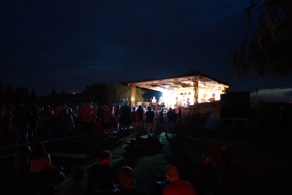 Dużo muzyki, zbiórka pieniężna i koncert życzeń na szantach
