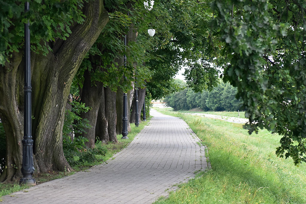 Nowe aleje i ścieżki rowerowe w legnickim parku