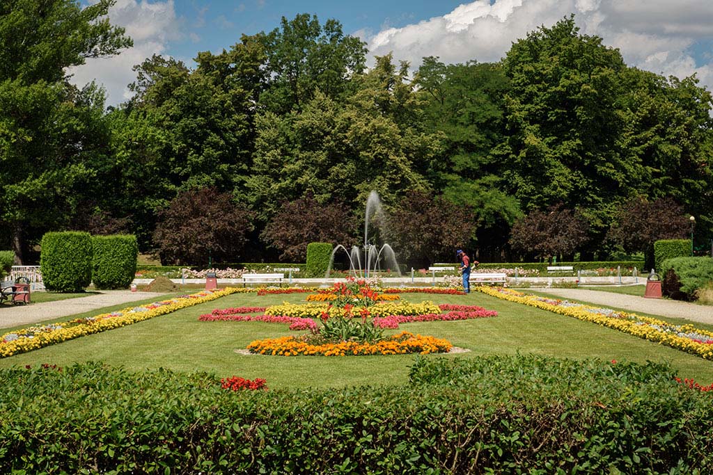 Nowe aleje i ścieżki rowerowe w legnickim parku