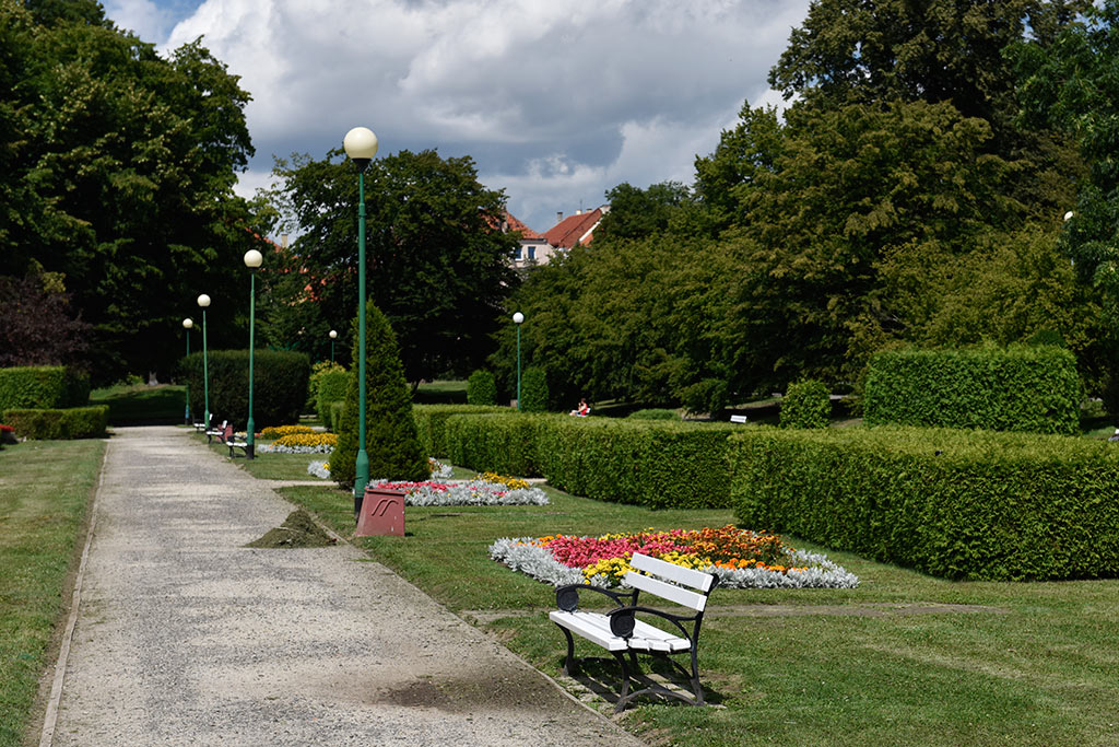 Nowe aleje i ścieżki rowerowe w legnickim parku