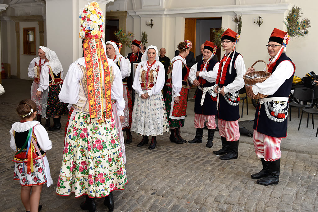 Członkowie Zespołu 