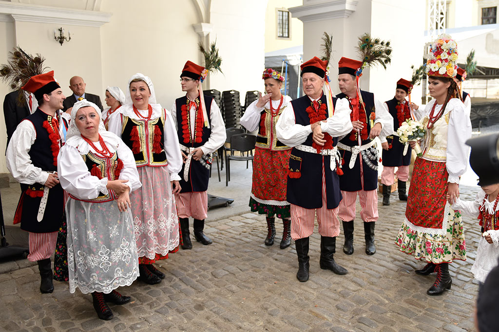 Członkowie Zespołu 