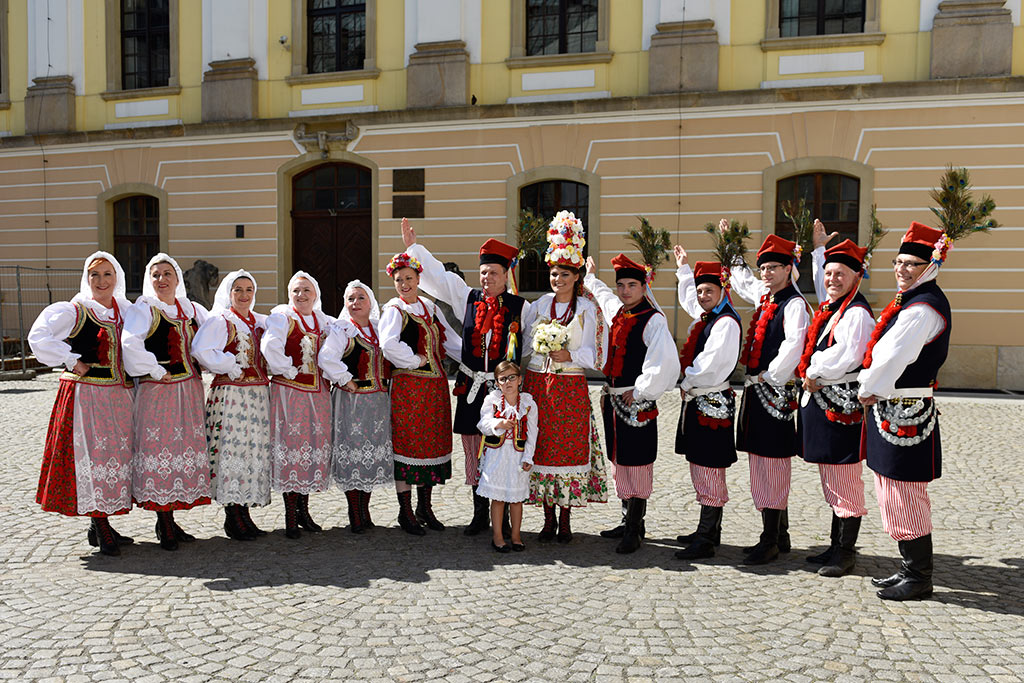 Członkowie Zespołu 