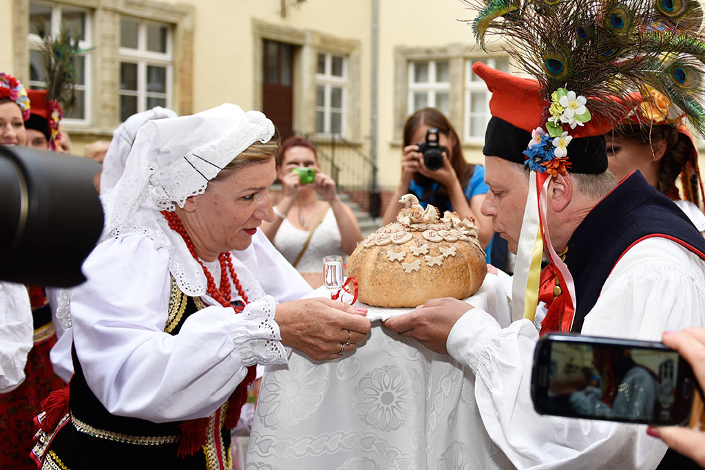 Członkowie Zespołu 