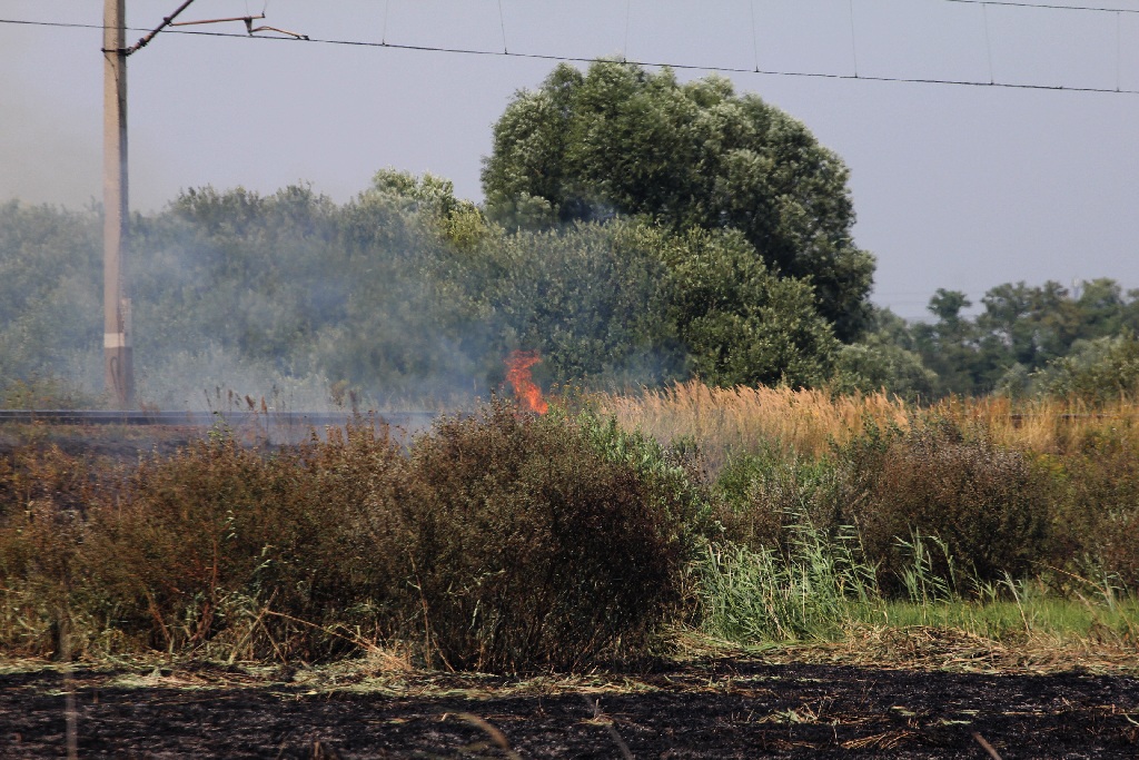 Tereny wokół kąpieliska Kormoran skąpane w ogniu