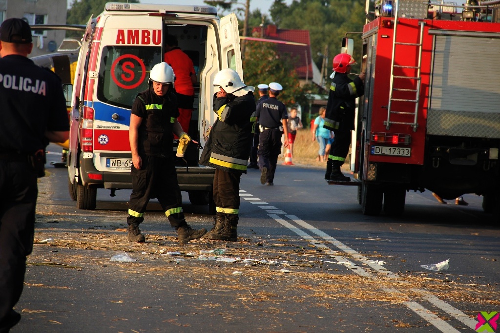 Wypadł z drogi i uderzył w drzewo