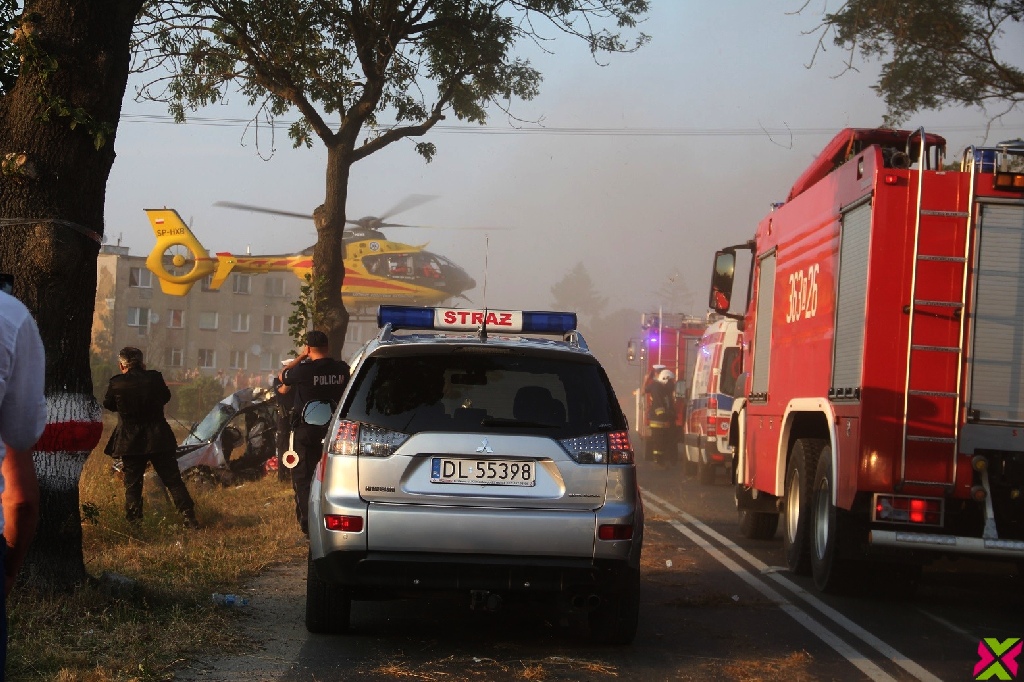Wypadł z drogi i uderzył w drzewo