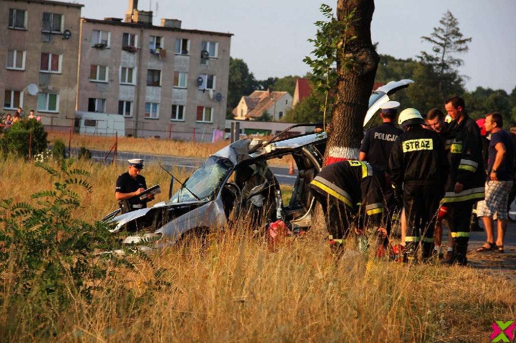 Wypadł z drogi i uderzył w drzewo
