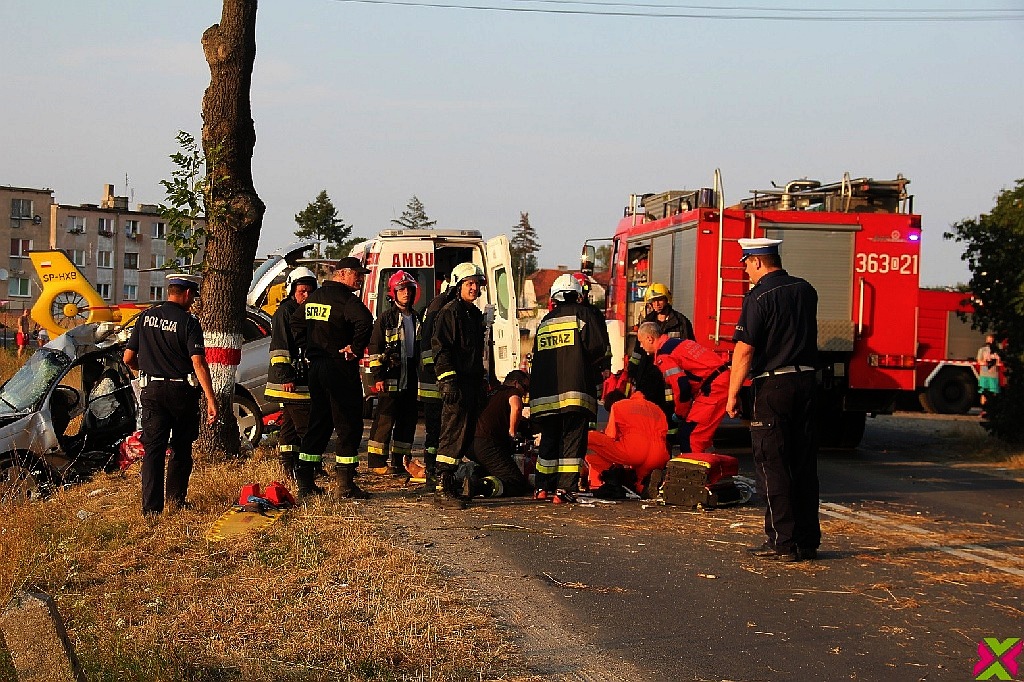 Wypadł z drogi i uderzył w drzewo