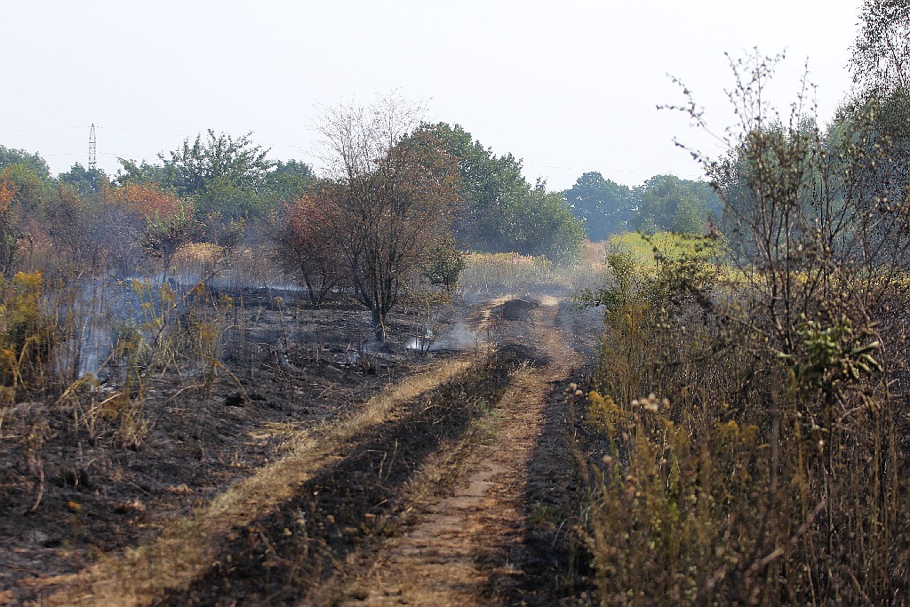 Pożar ścierniska w okolicy szpitala