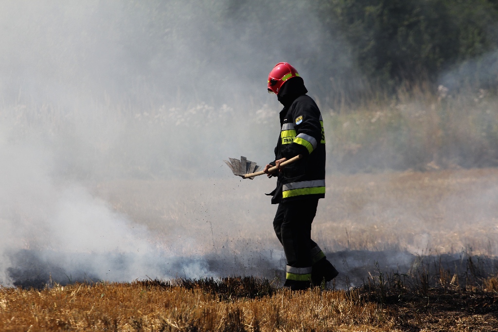 Pożar ścierniska w okolicy szpitala