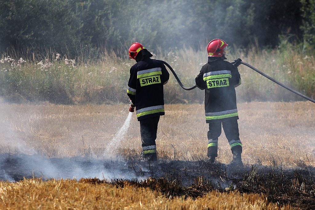 Pożar ścierniska w okolicy szpitala