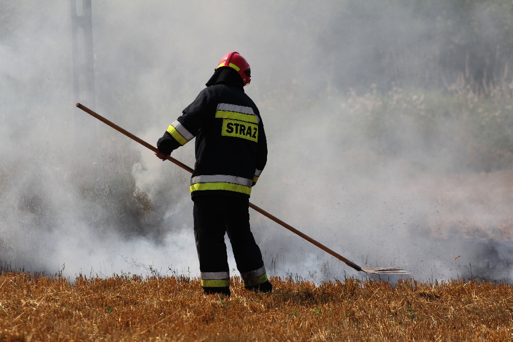 Pożar ścierniska w okolicy szpitala