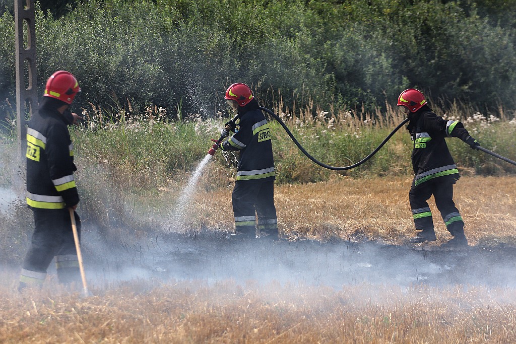 Pożar ścierniska w okolicy szpitala