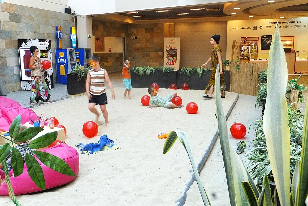 Dzikie koty opanowały Galerię Piastów