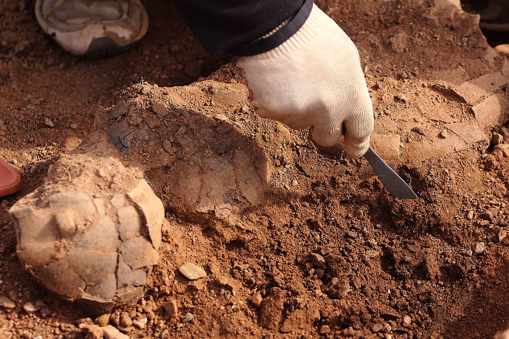 Pod Legnicą podczas budowy drogi S3 odkopali archeologiczne skarby