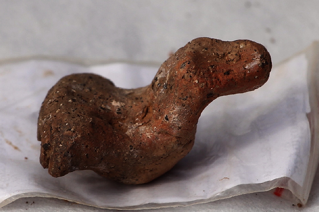 Pod Legnicą podczas budowy drogi S3 odkopali archeologiczne skarby