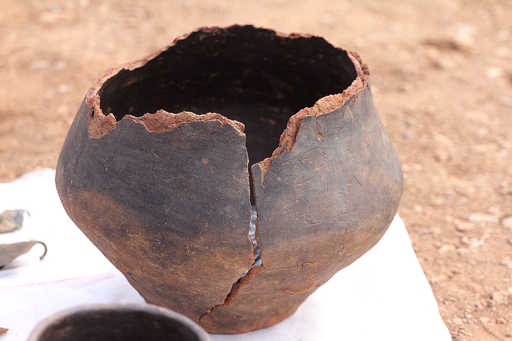 Pod Legnicą podczas budowy drogi S3 odkopali archeologiczne skarby