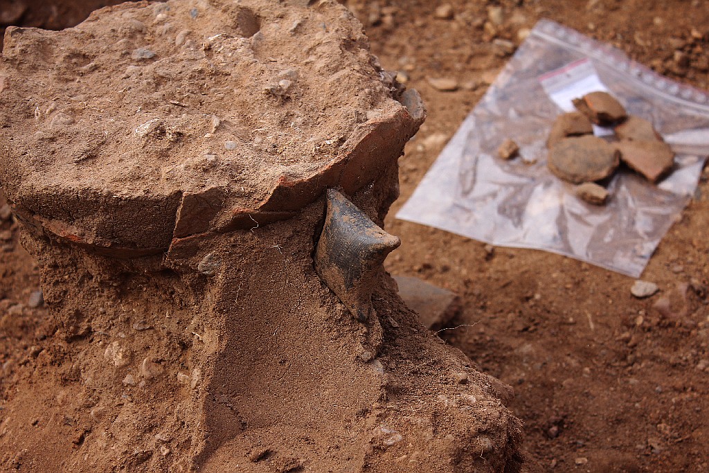 Pod Legnicą podczas budowy drogi S3 odkopali archeologiczne skarby