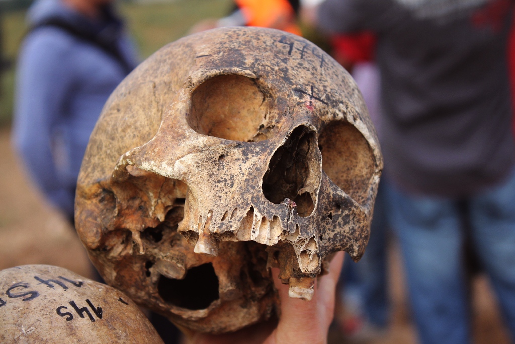 Pod Legnicą podczas budowy drogi S3 odkopali archeologiczne skarby