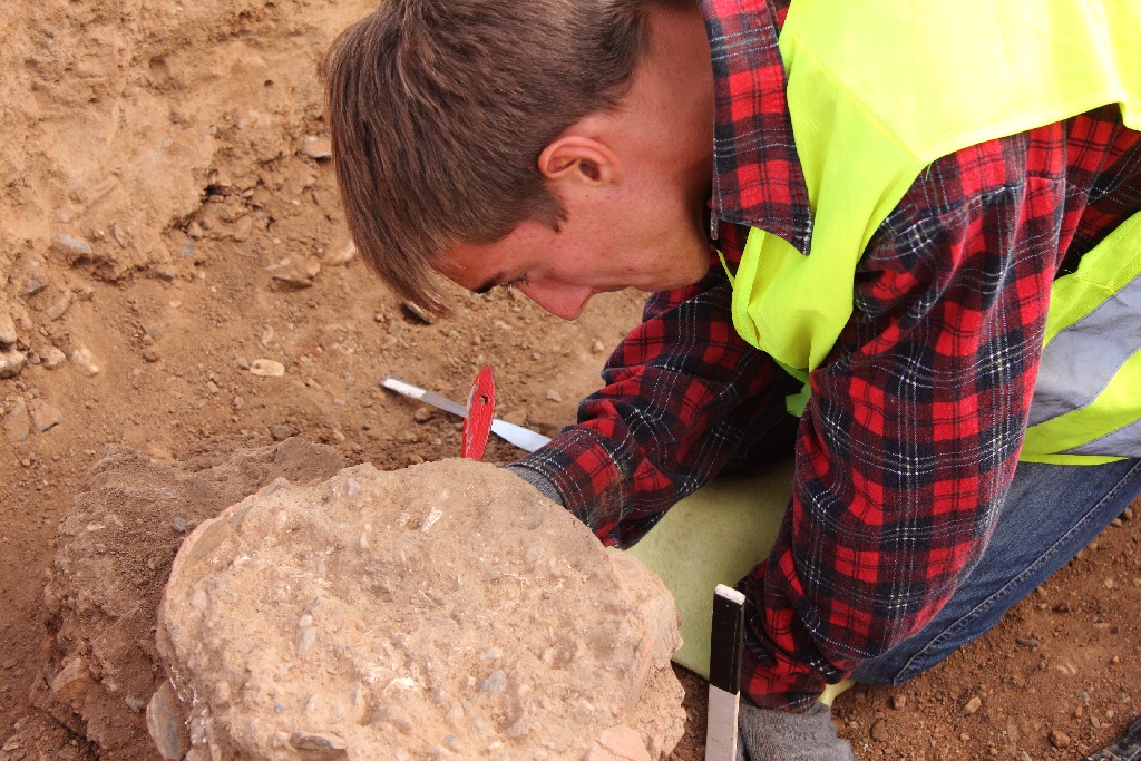 Pod Legnicą podczas budowy drogi S3 odkopali archeologiczne skarby