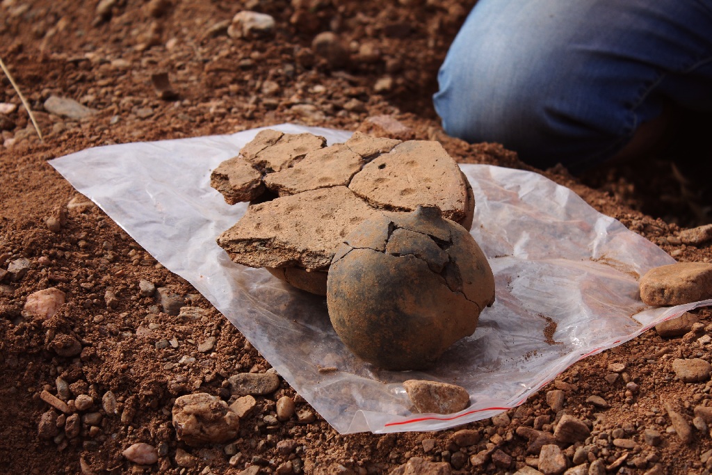 Pod Legnicą podczas budowy drogi S3 odkopali archeologiczne skarby