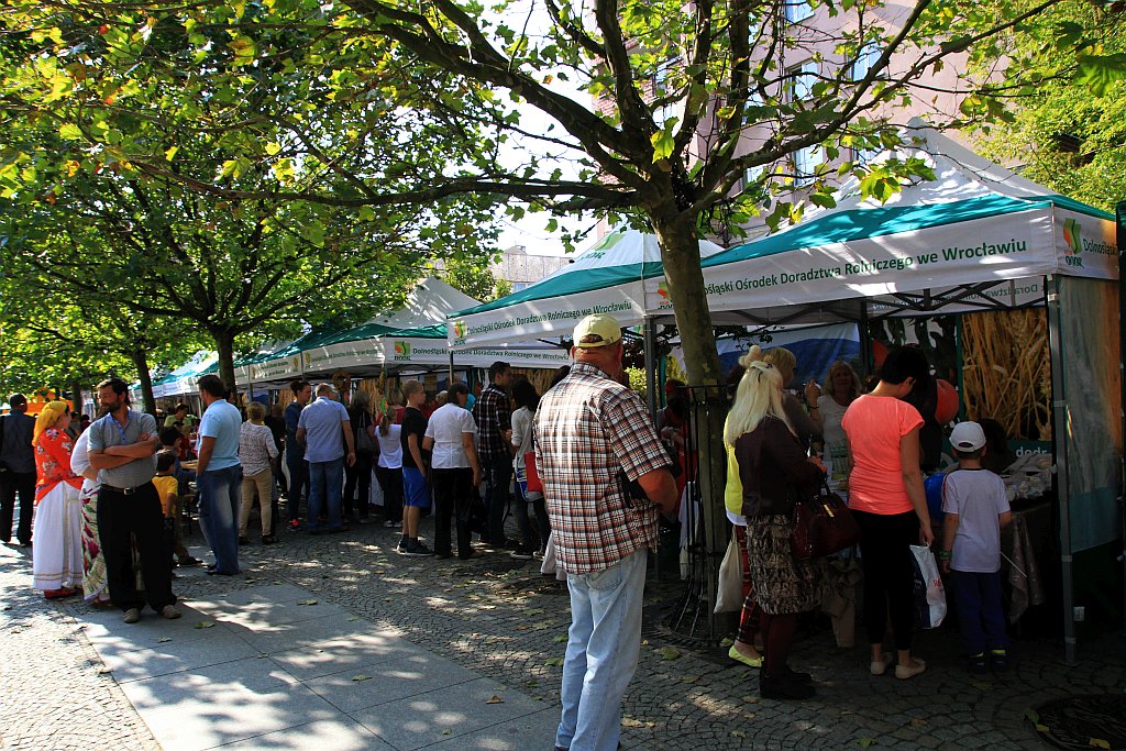 Największe w Legnicy imieniny ulicy Najświętszej Marii Pannny cz1