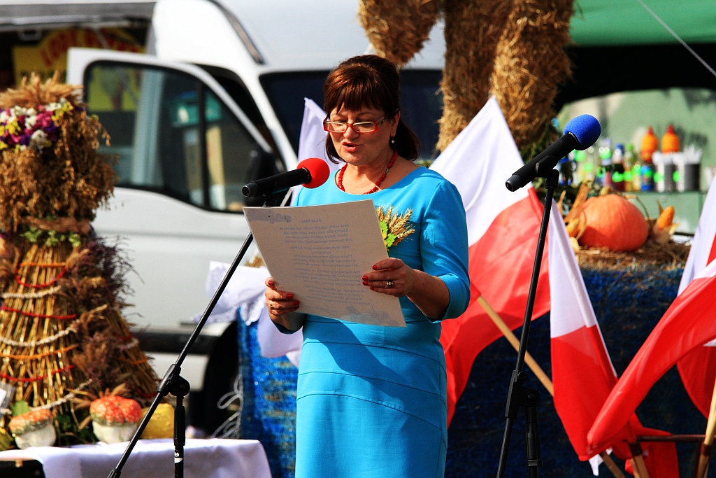 Mieszkańcy gminy Prochowice bawili się na dorocznych dożynkach