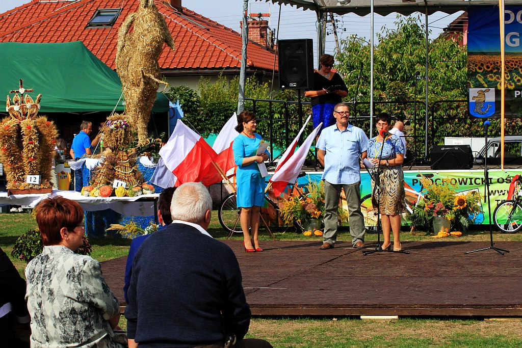 Mieszkańcy gminy Prochowice bawili się na dorocznych dożynkach