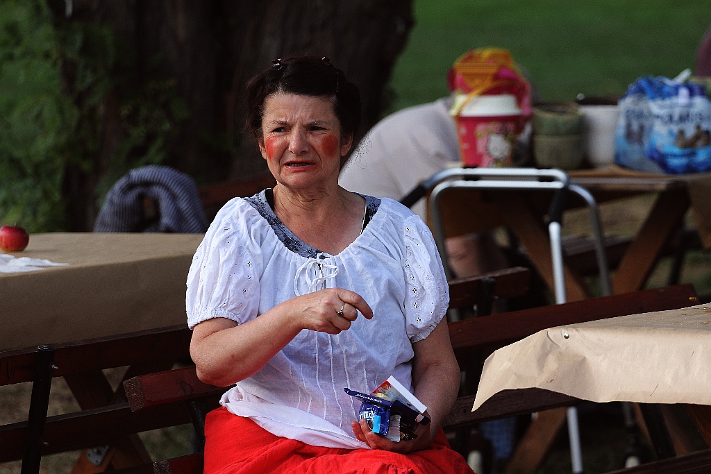 W Legnickim Polu bawili się na Jarmarku Średniowiecznym