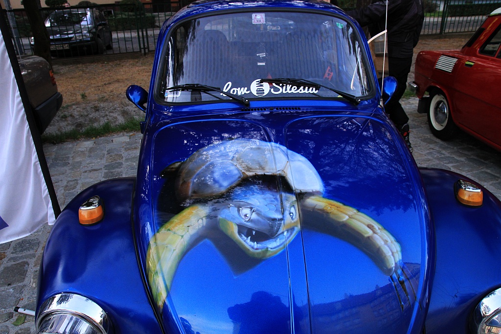 Kilkanaście samochodów wzięło udział w pikniku motoryzacyjnym