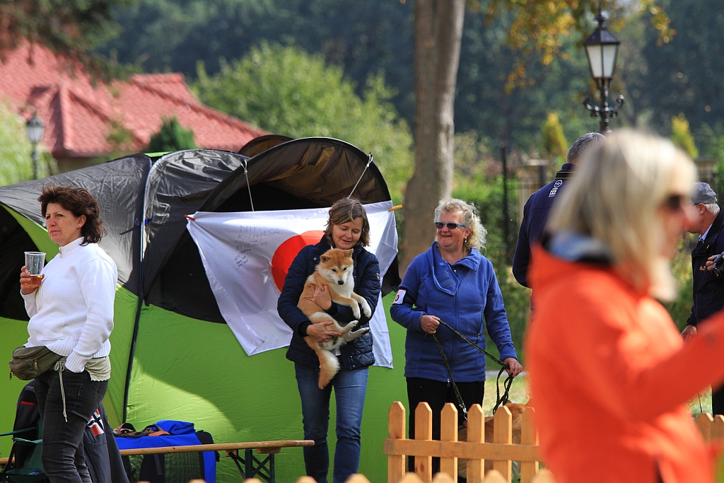 Ponad 170 psów wzięło udział w wystawie Akita Inu & Nippon Show