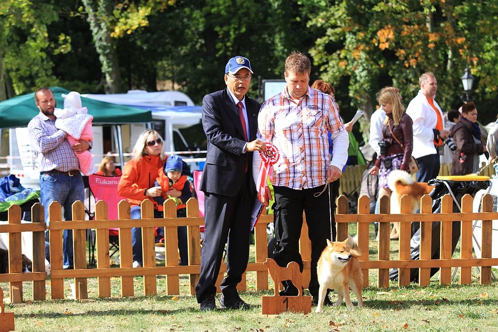 Ponad 170 psów wzięło udział w wystawie Akita Inu & Nippon Show