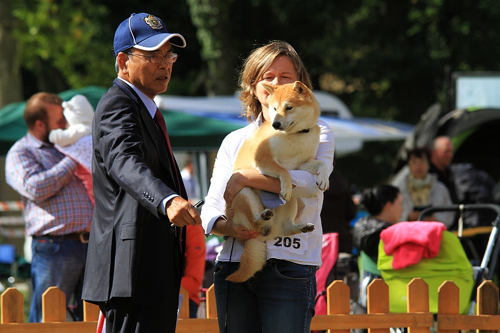 Ponad 170 psów wzięło udział w wystawie Akita Inu & Nippon Show