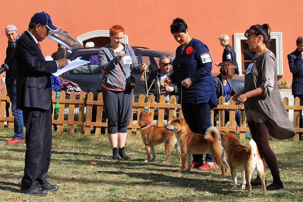 Ponad 170 psów wzięło udział w wystawie Akita Inu & Nippon Show