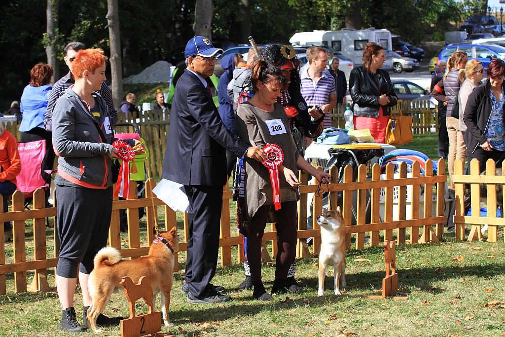 Ponad 170 psów wzięło udział w wystawie Akita Inu & Nippon Show